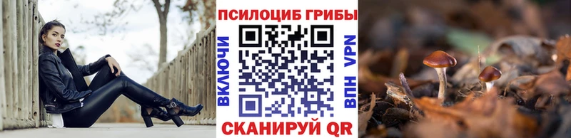 Псилоцибиновые грибы мицелий  Можайск 