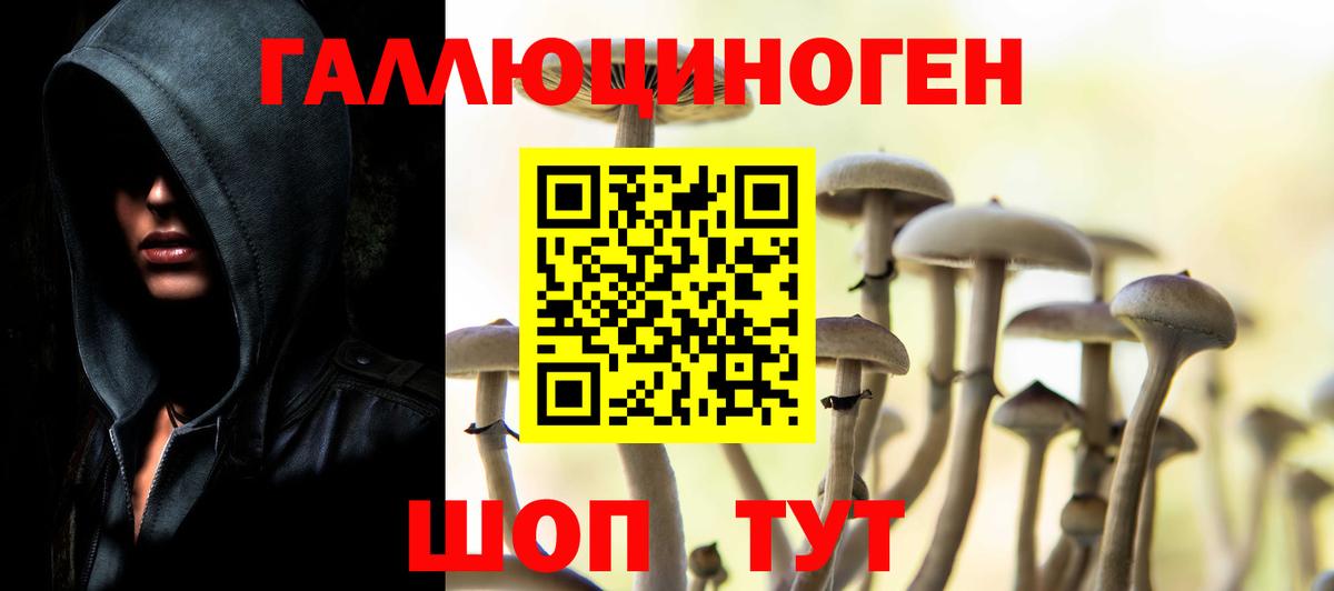 Псилоцибиновые грибы мицелий Можайск